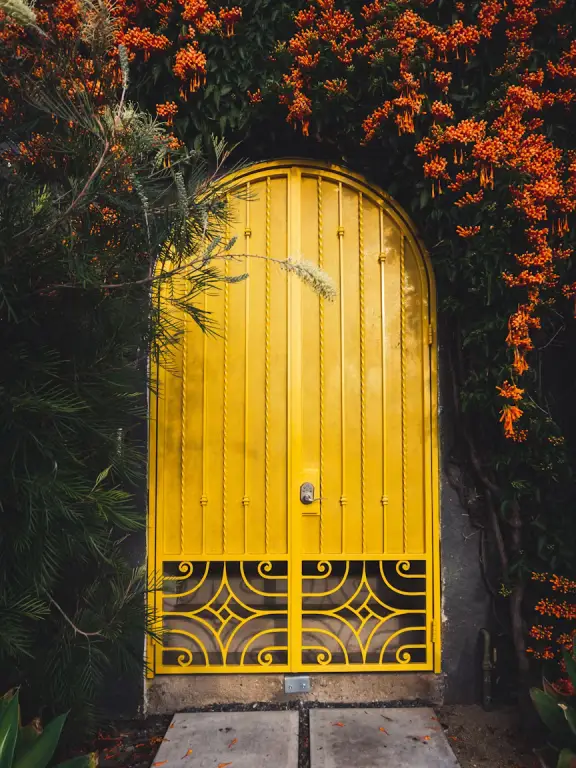 Le système nerveux The Nervous System Articles yellow-door
